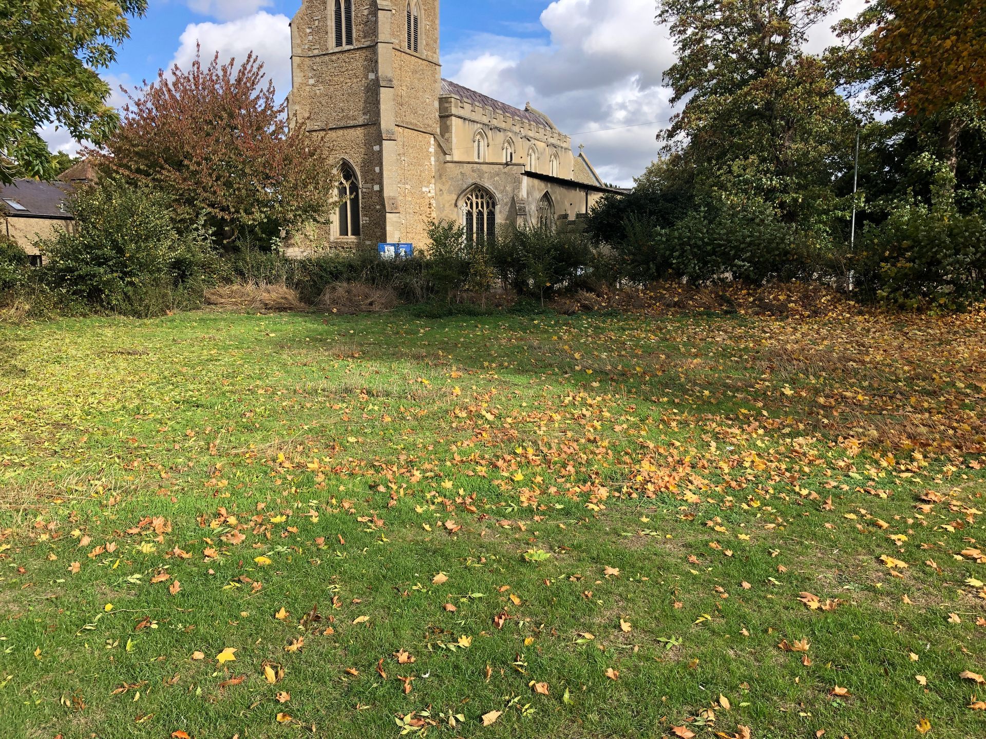 There is a church in the background and a field with leaves on it.