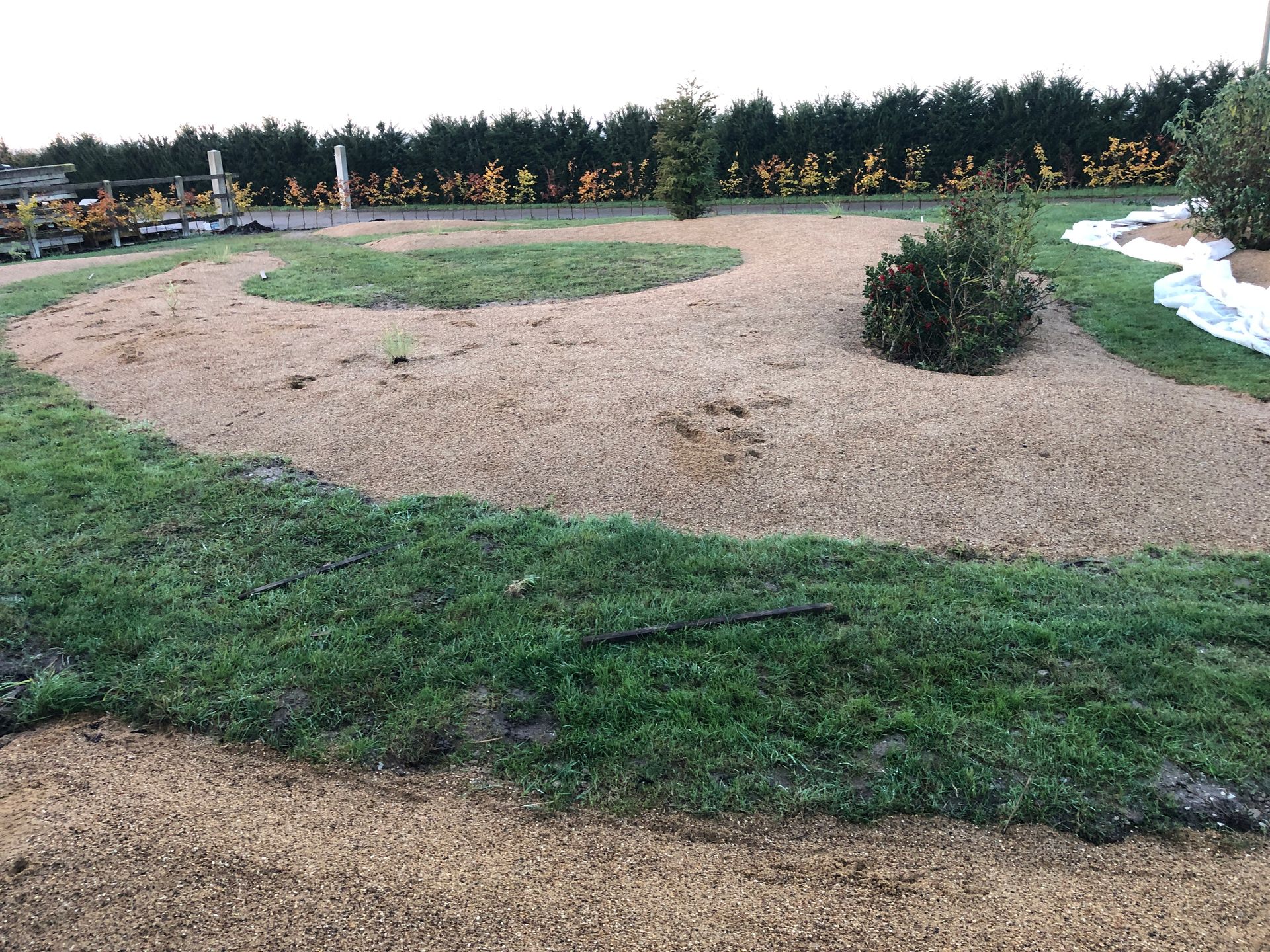 A lush green field of grass and gravel with trees in the background.