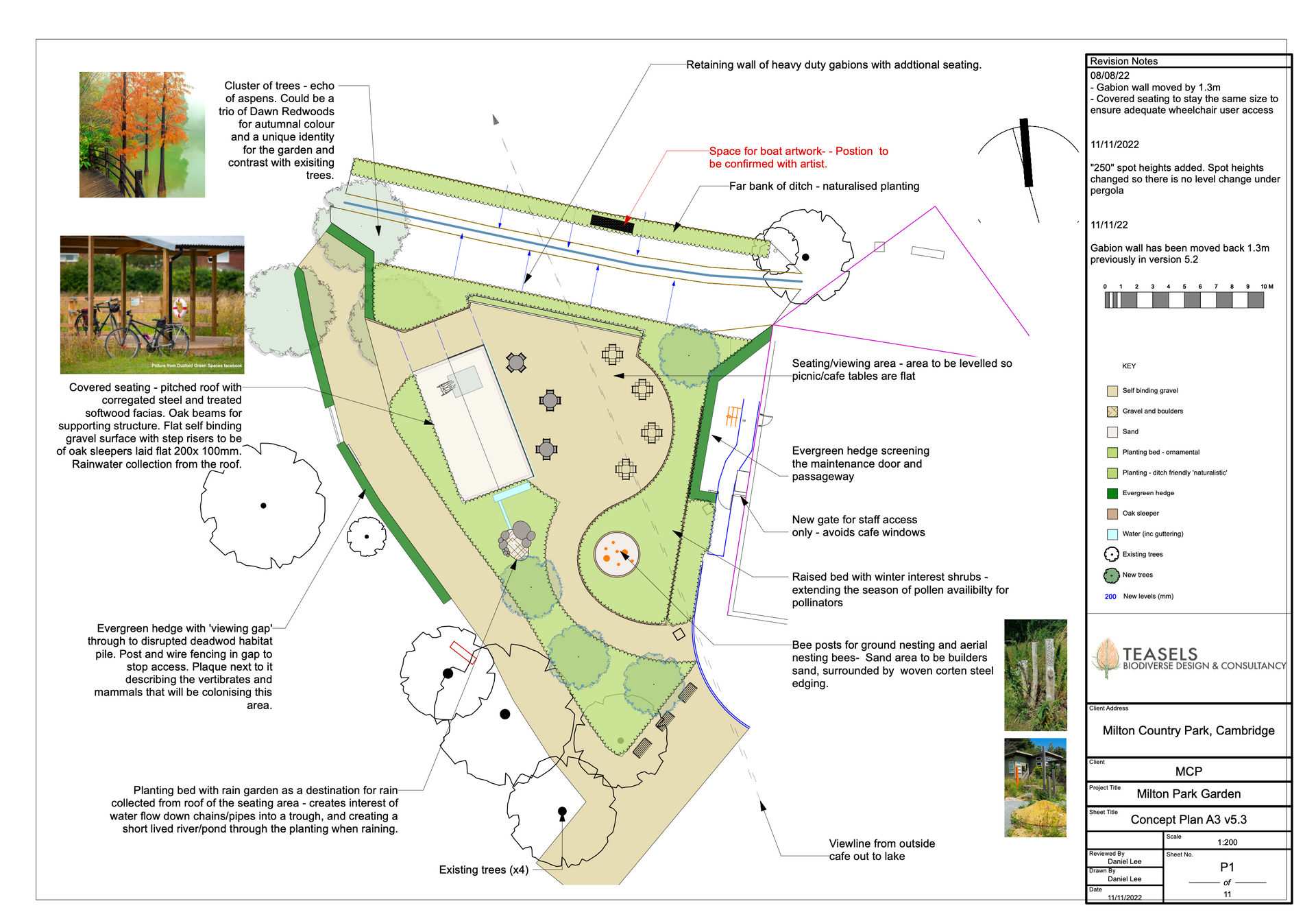 A drawing of a park with trees and a pool