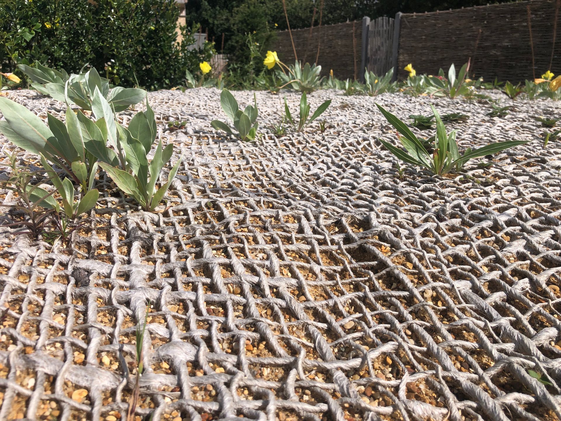 A close up of a fence with plants growing out of it.