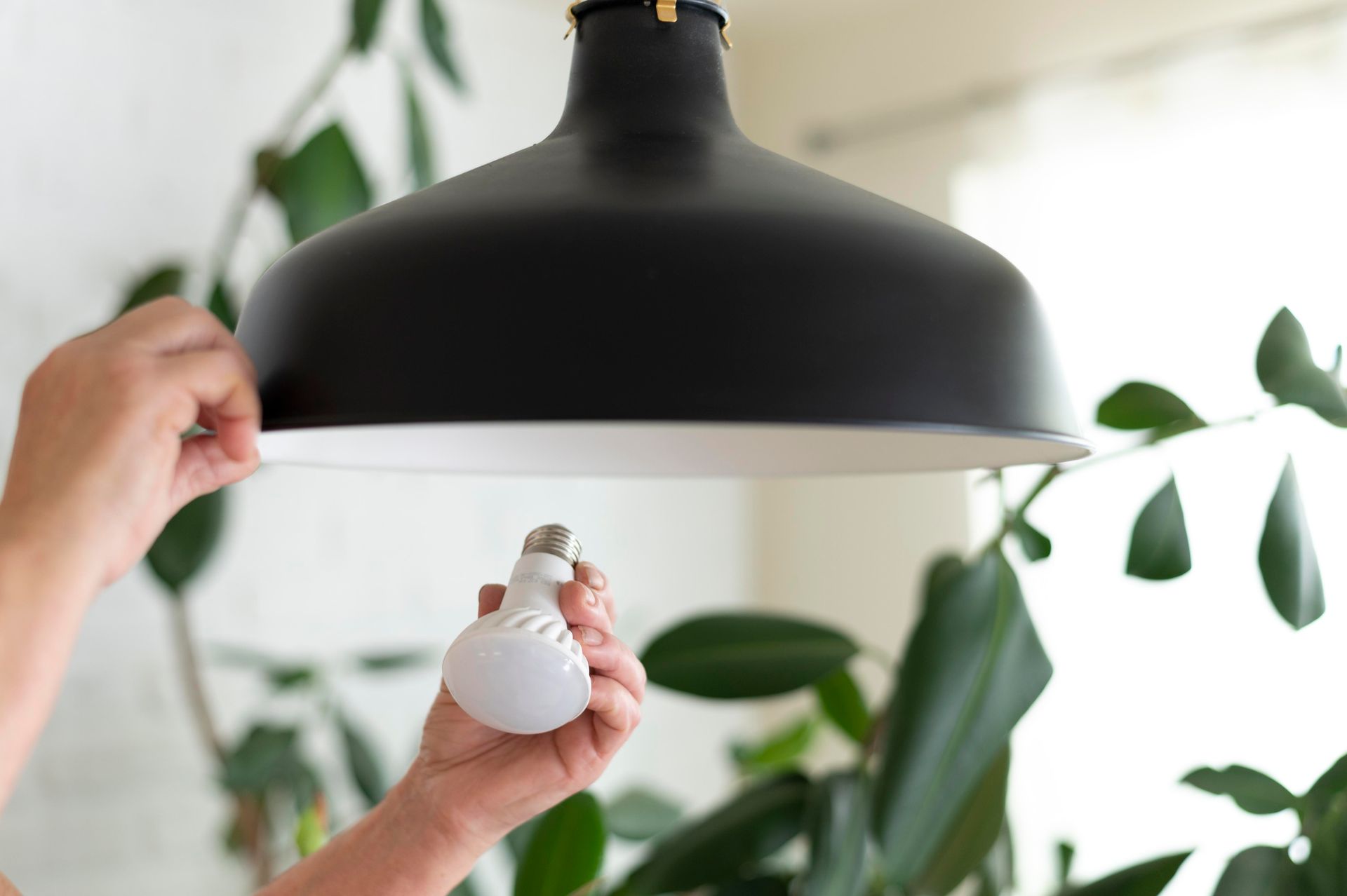 Person replacing a lightbulb in a black lampshade, with green plants in the background.