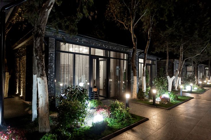 Lit cabins with large windows at night, illuminated pathway, trees with white-painted trunks, and shrubbery.