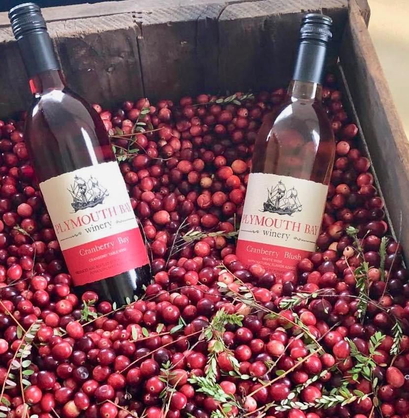 Two bottles of Plymouth Bay Winery Cranberry wine nestled among red cranberries.