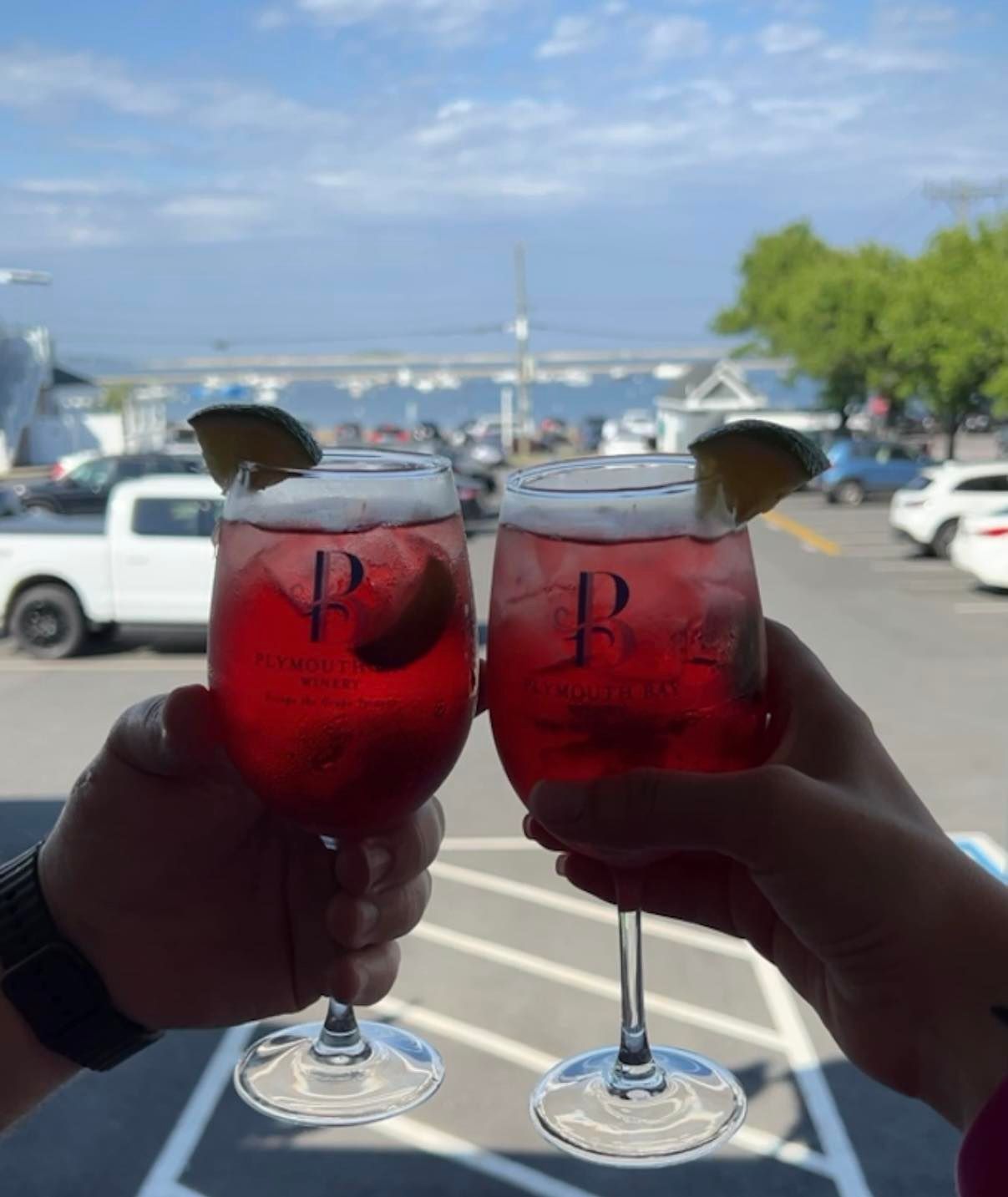 Two red cocktails with lime garnishes are raised in a toast, with a harbor view in the background.