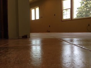 Low-angle view of wet, shiny floor tiles in a room with neutral walls and windows.