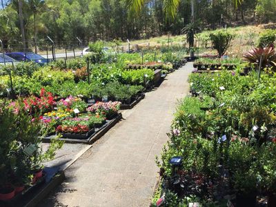 Gardener unloading plants — About Us in Ocean Shores, NSW