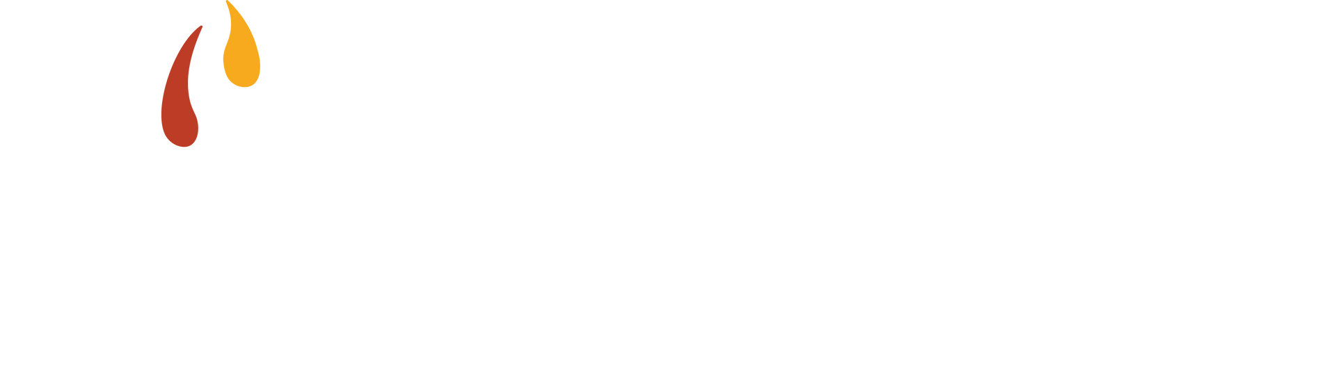 The Fireplace Shop Logo