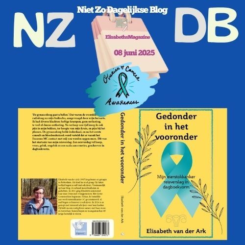 Een boek met de titel gedonder in het vooronder van elisabeth van der ark