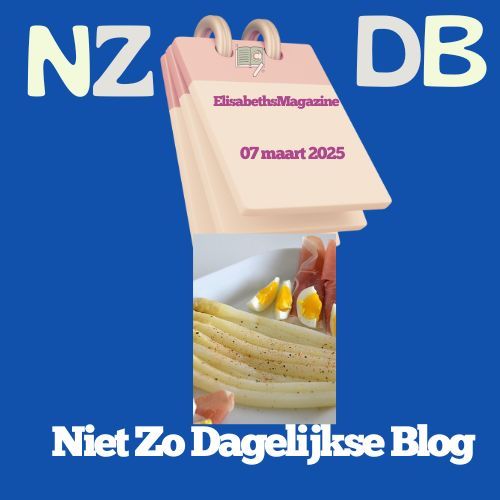 Nz db niet zo dagelijkse blog is written on a blue background