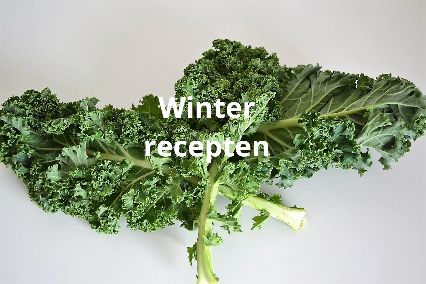 recepten geschikt voor het winterseizoen