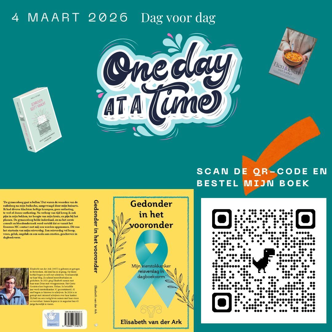 Promotieafbeelding voor een boek getiteld 