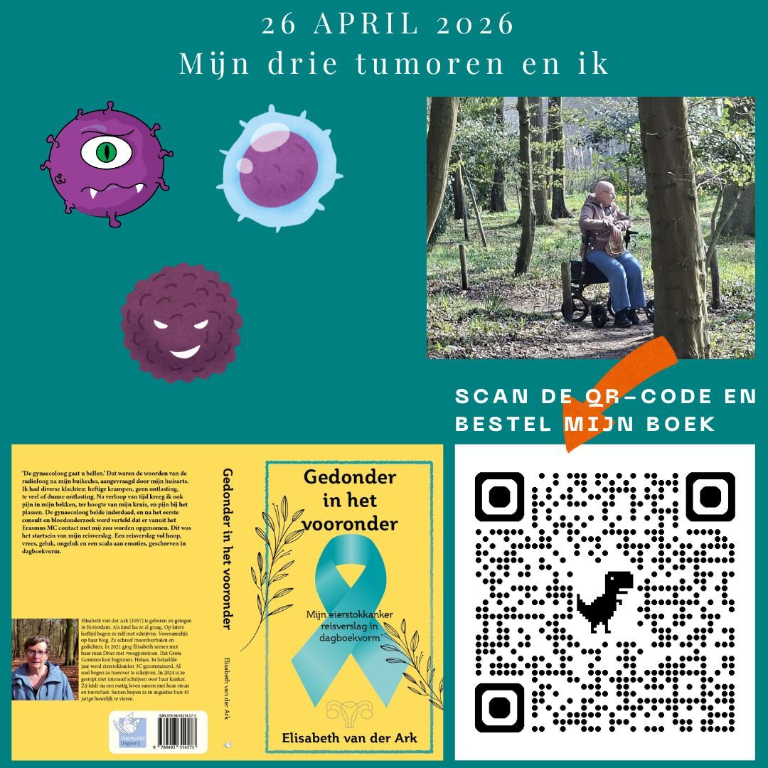 Nederlandse poster op een turquoise achtergrond met drie cartoonachtige tumoren, een kale vrouw in het bos, een QR-code en een voorproefje van de boekomslag.