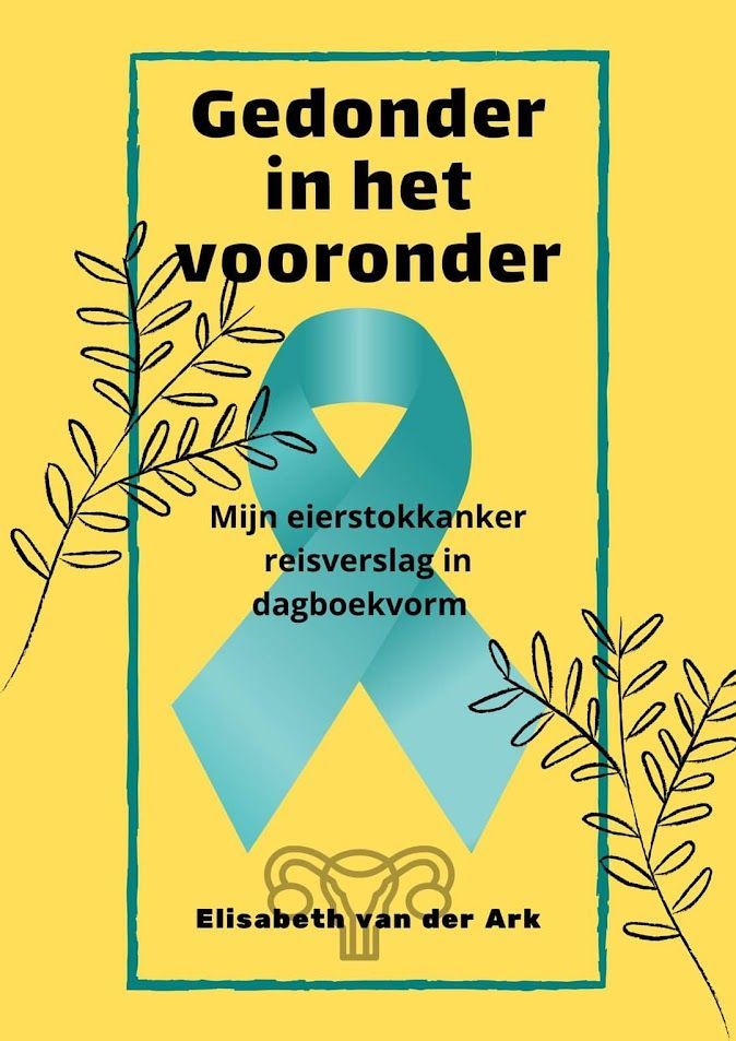 Een boek met de titel:  gedonder in het vooronder van elisabeth van der ark