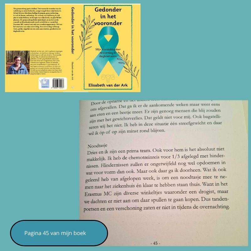 Omslag en pagina 45, geschreven in het Nederlands. De omslag is geel en voorzien van een blauwgroen lint.