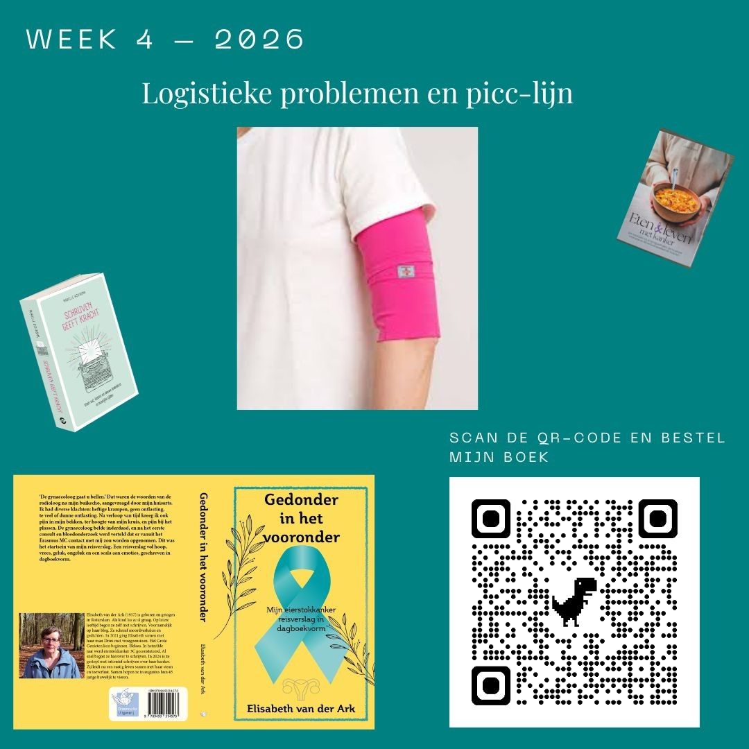 Collage met een roze armsteun, boekomslag, eten en QR-code op een turquoise achtergrond.