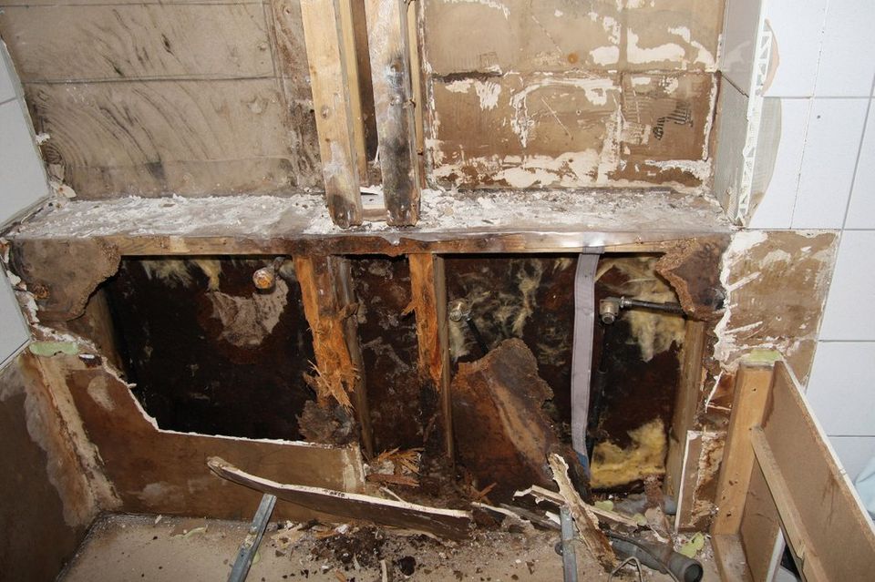 Mold damage, under the right circumstances, may be covered by your insurance policy. - Restoration 1 of Freehold