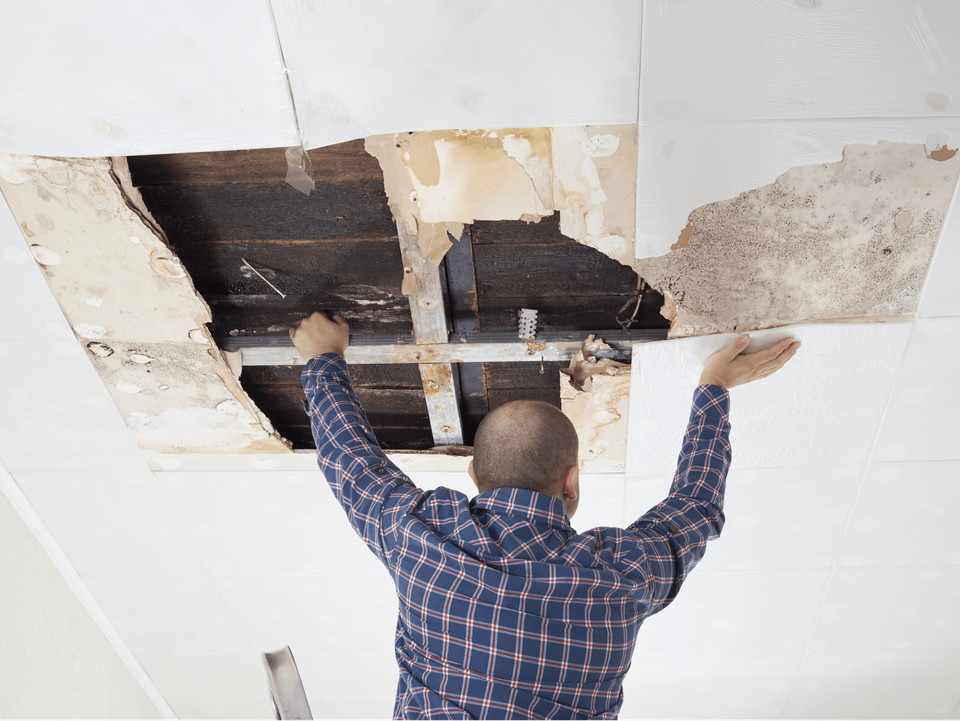 Man examining water damaged ceiling. Restoration 1 of Freehold.