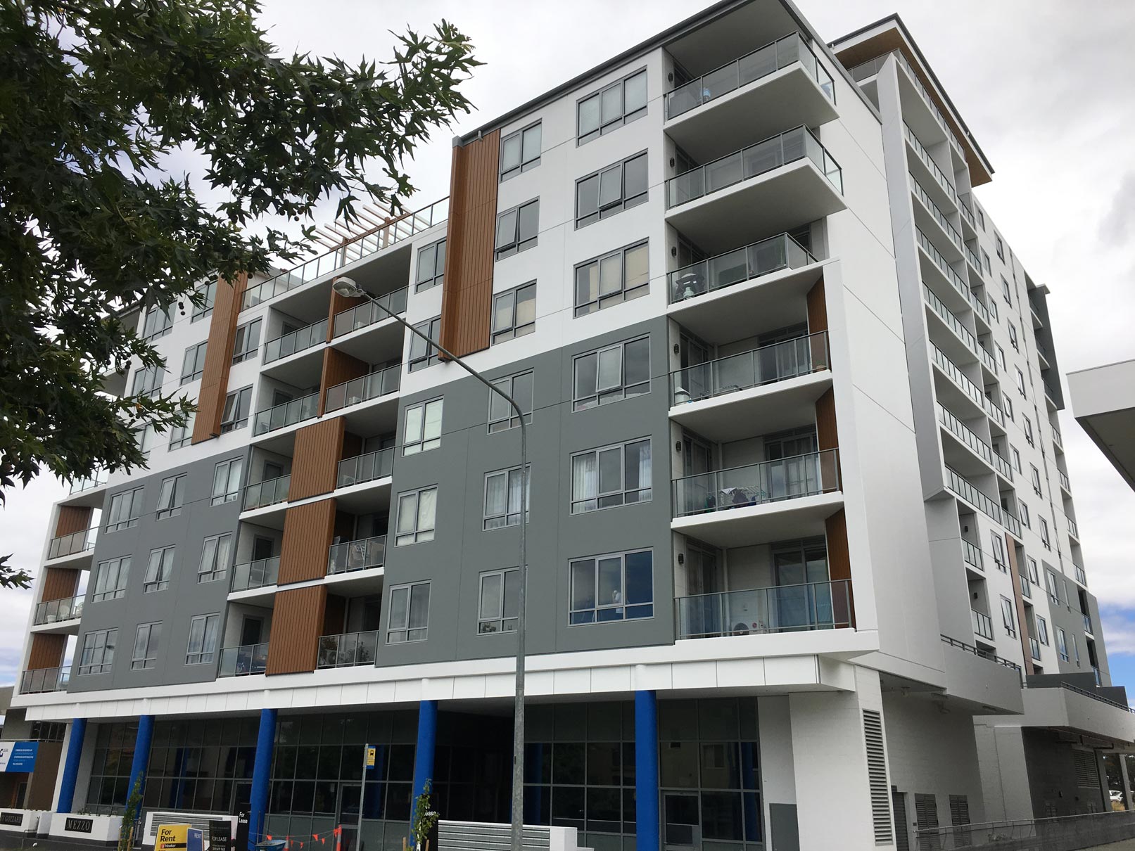 buildingproimagewithleaves