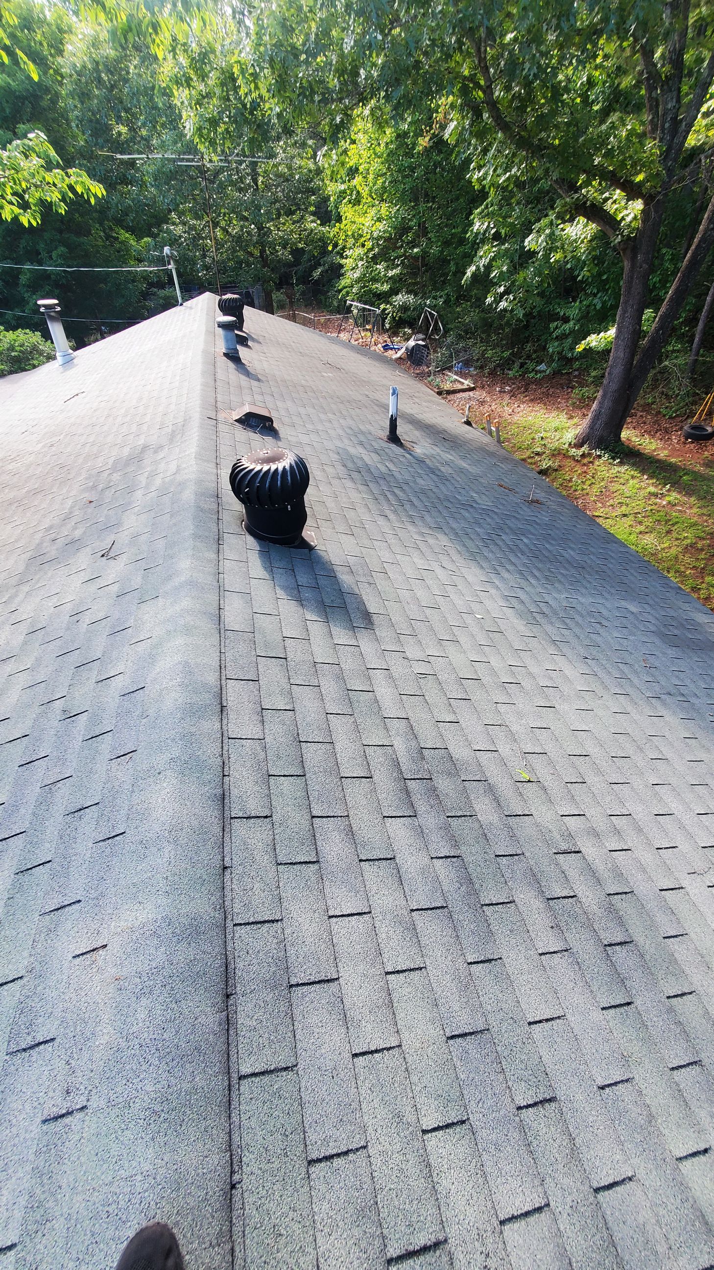 Gray asphalt shingle roof with multiple vents; sunlight on the shingles; trees in the background.