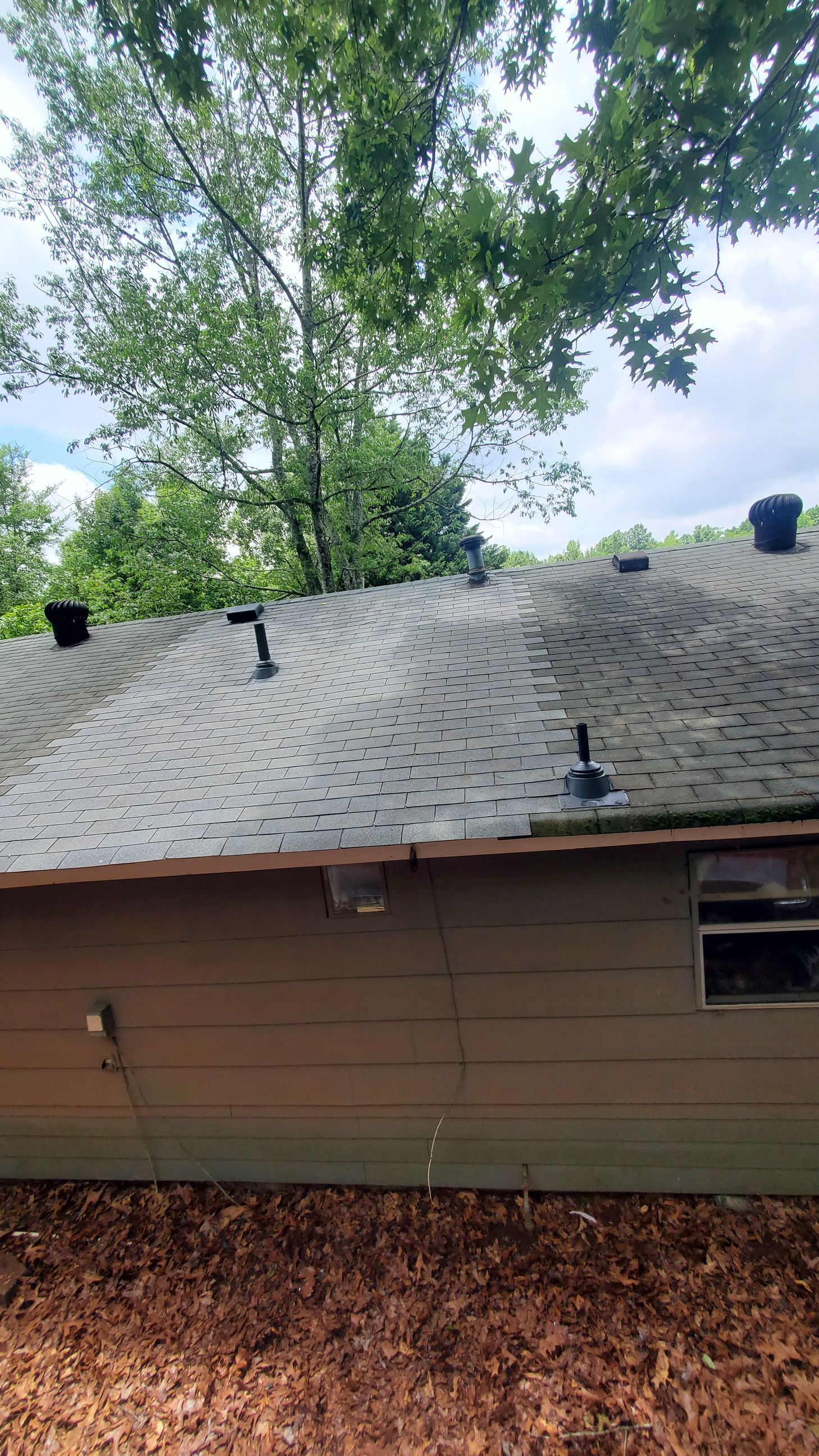 Shingled roof on a brown house with black vents and trees in the background.