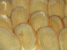 madeleine cookies