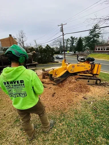 A man in a neon green hoodie is standing in front of a stump grinder.