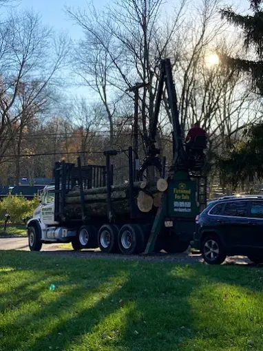 A truck carrying logs is parked in a grassy area next to a car.