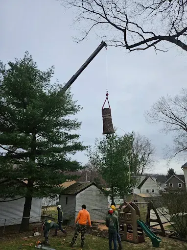 A crane is lifting a tree trunk in a backyard.