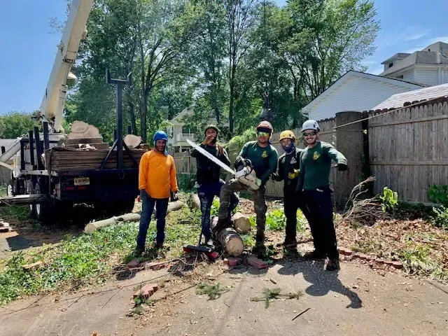 A group of people are standing in front of a tree stump.