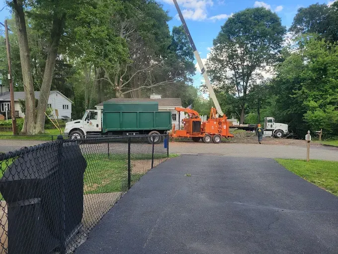A green dump truck is parked in a driveway next to a tree chipper.