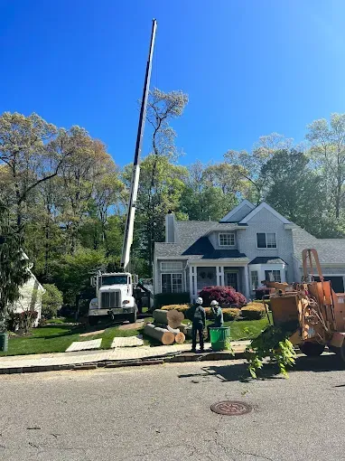 A crane is lifting a tree in front of a house.