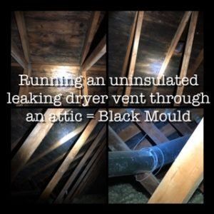 A picture of an attic with the words running an uninsulated leaking dryer vent through an attic = black mould