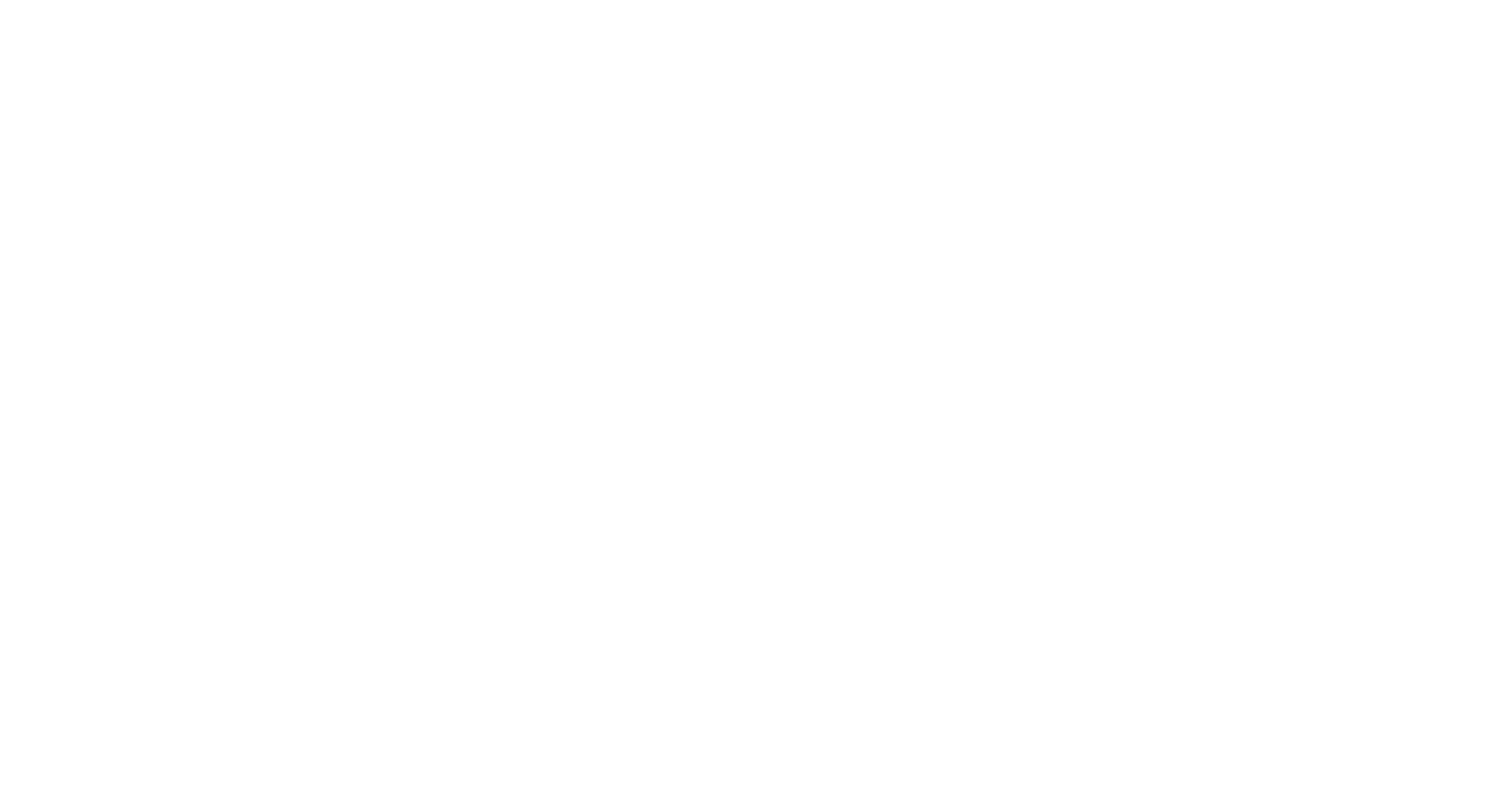 Townhouse Estates LTD Logo