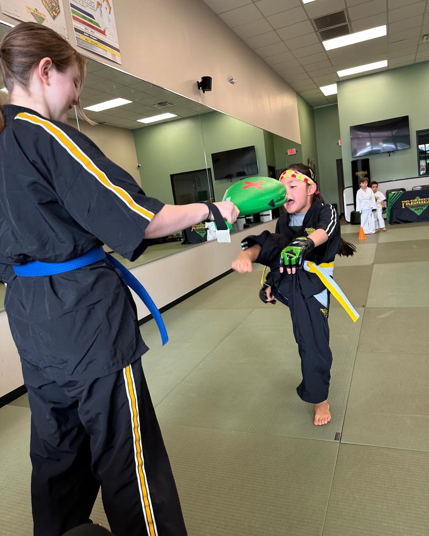 martial arts belt ranks