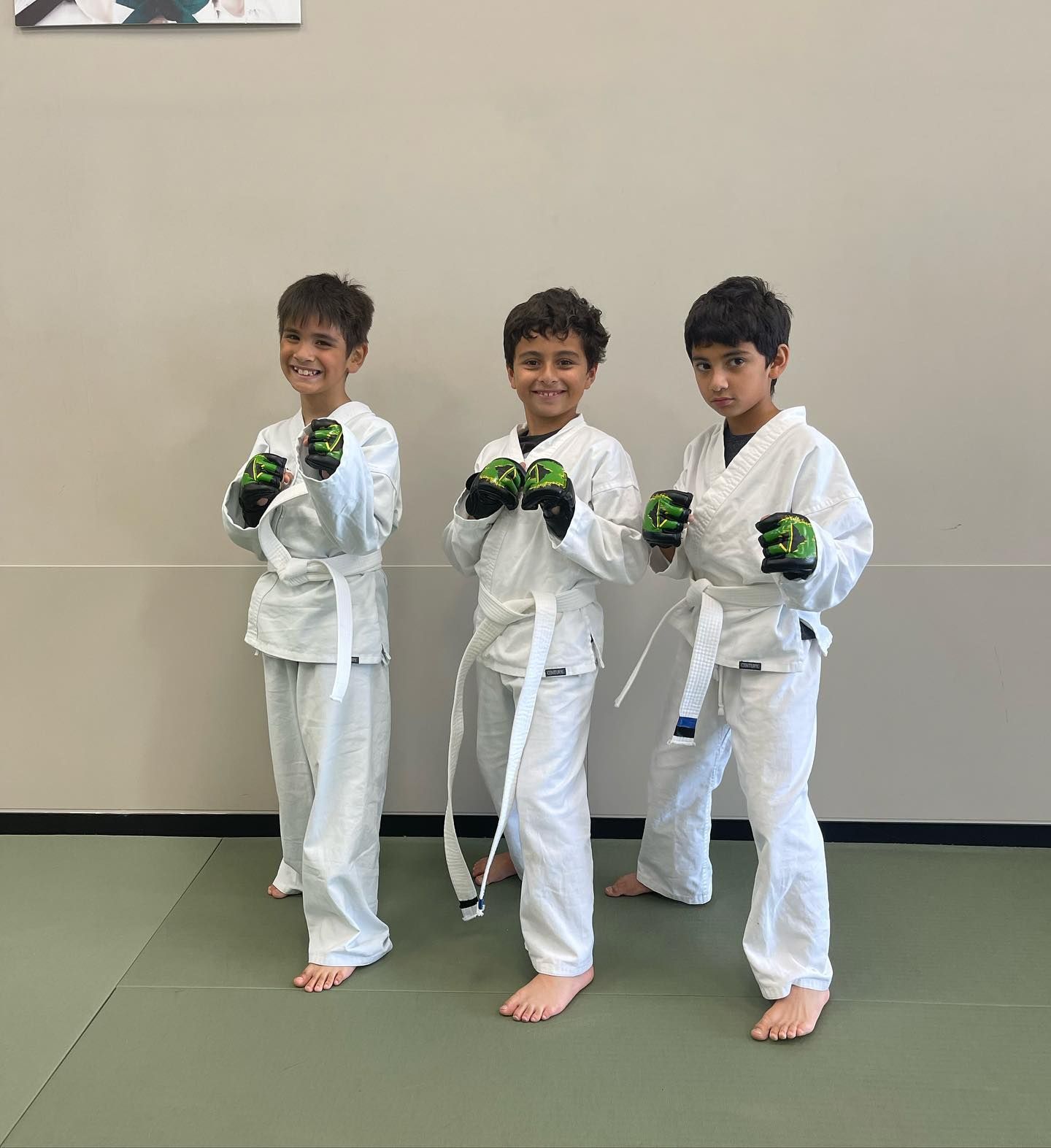 kids martial arts