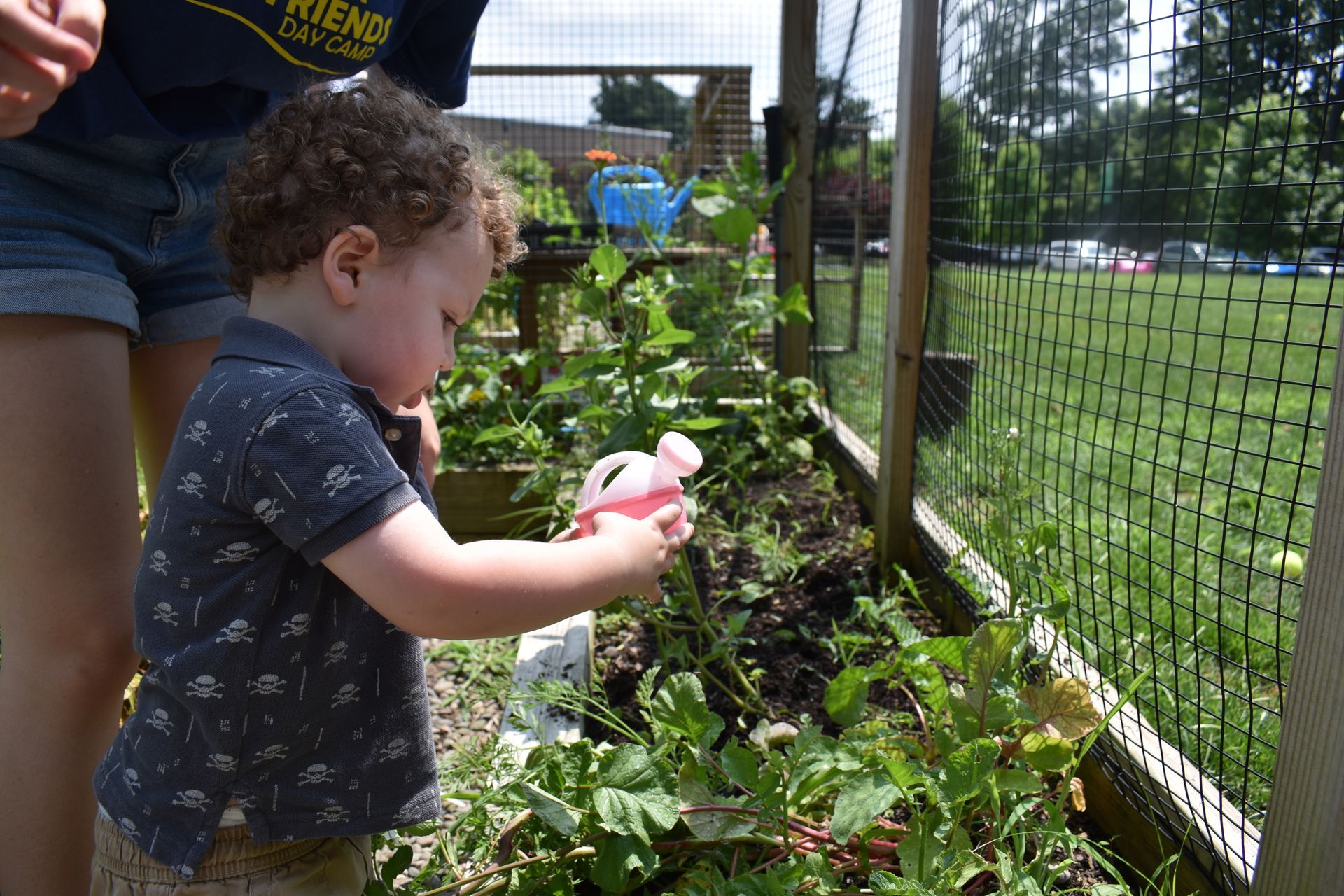 A little boy is watering plants in a garden.