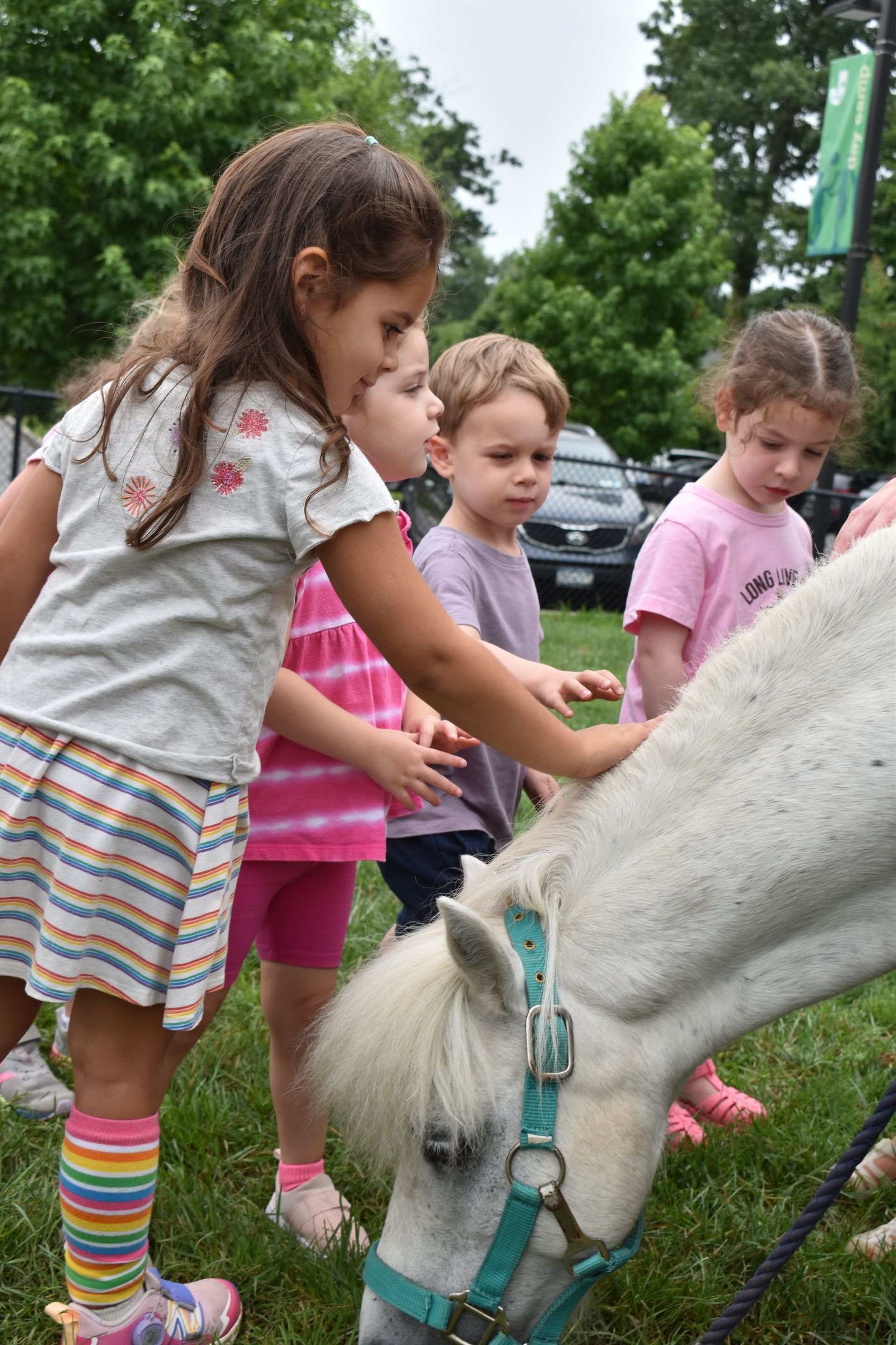 A group of children are petting a pony in the grass.