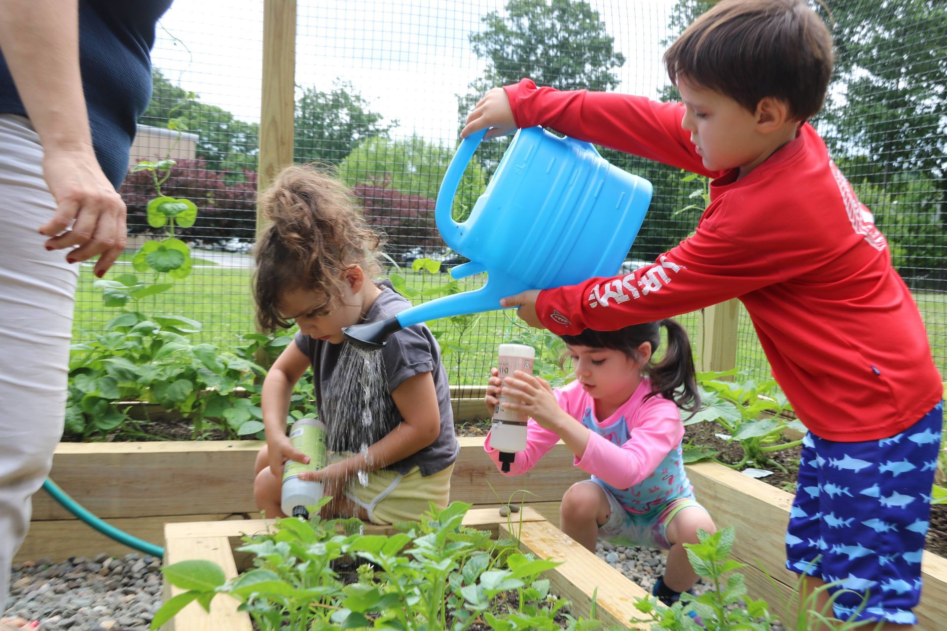 A group of children are watering plants in a garden.