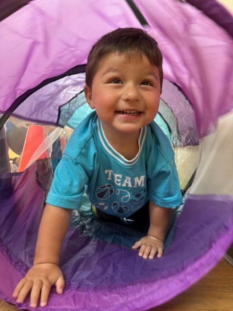 A little boy is crawling through a purple tunnel.