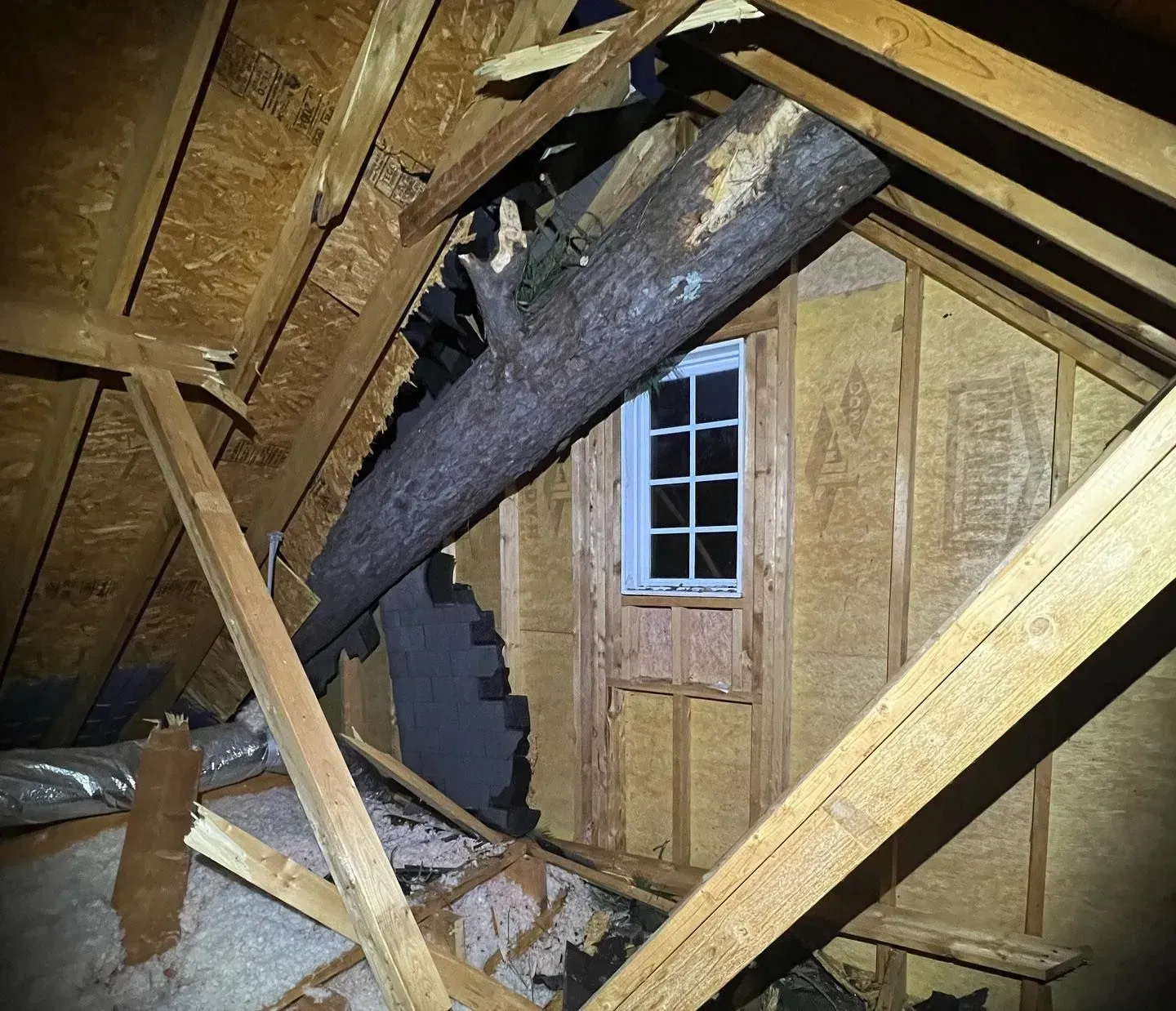 A tree is hanging from the ceiling of an attic with a window.