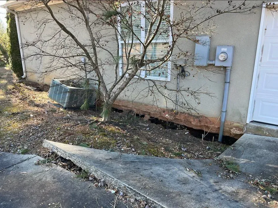 A house with a tree in front of it and a concrete walkway.