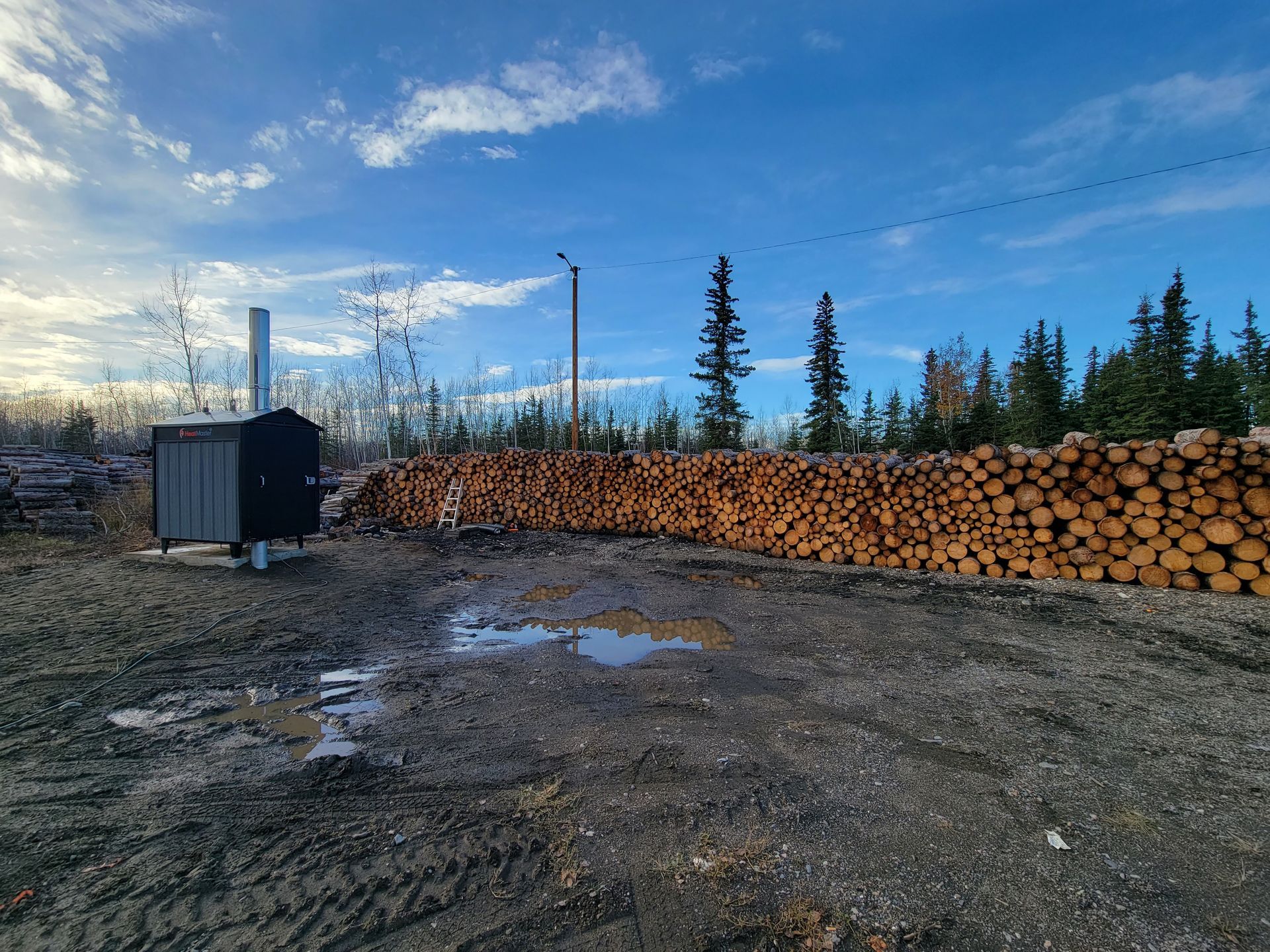 A large pile of logs is sitting in the middle of a dirt field.