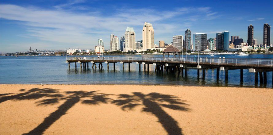 San Diego beach with palm tree shadow