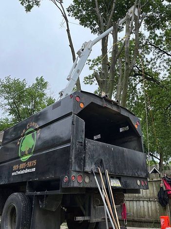Black tree service truck with an extended crane arm removing branches from a tree.