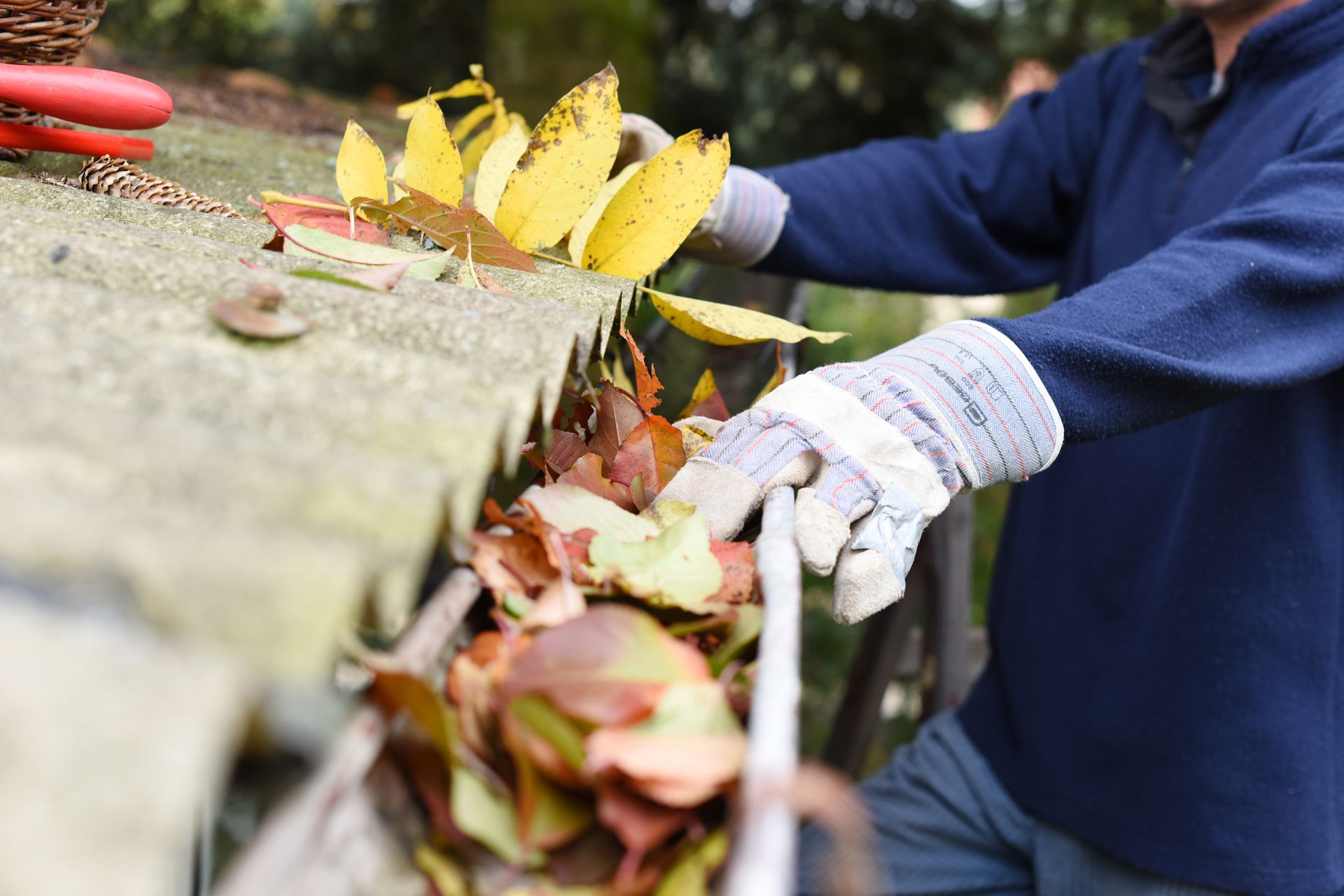 Worker in blue gloves clearing leaves from a roof gutter beside yellow fall leaves.