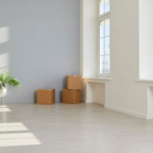 Bright empty room with stacked cardboard moving boxes, potted plant, and sunlight from large windows