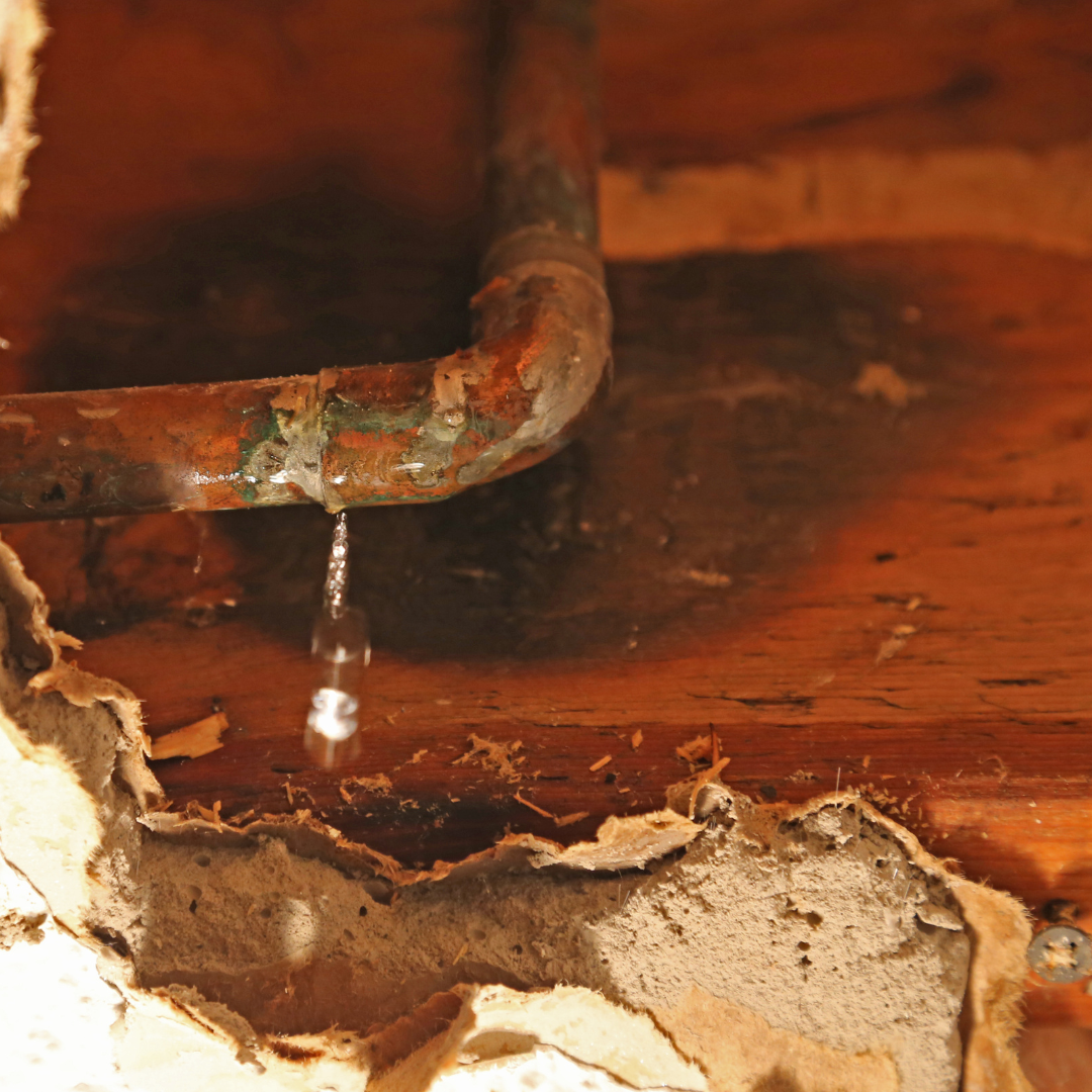 A close up of a copper pipe with water dripping from it