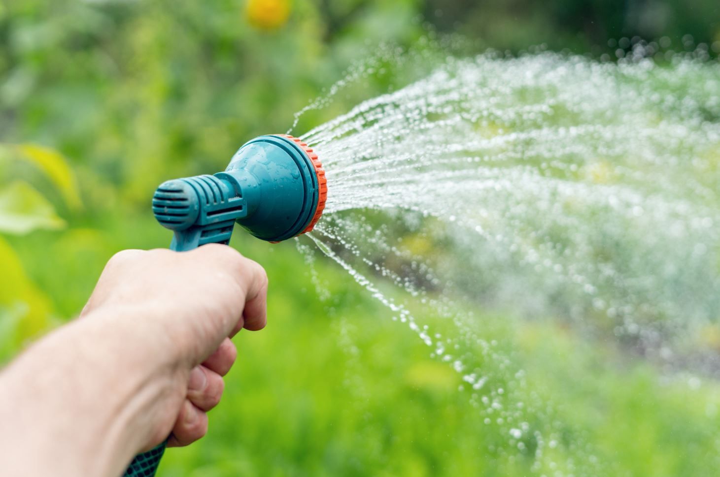 A person is watering a garden with a hose.