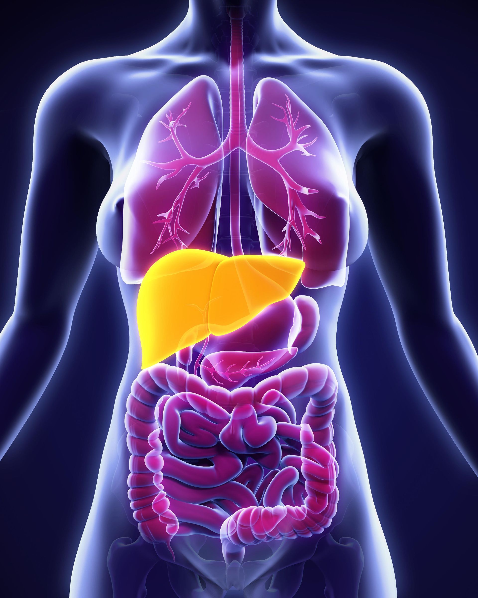 Fatty liver, also known as hepatic steatosis, is a common condition