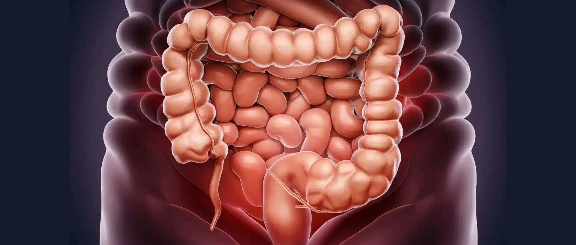 Colonoscopy is a vital procedure used for both diagnostic and preventive purposes 